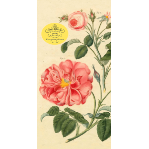 John Derian Paper Goods: Everything Roses Notepad